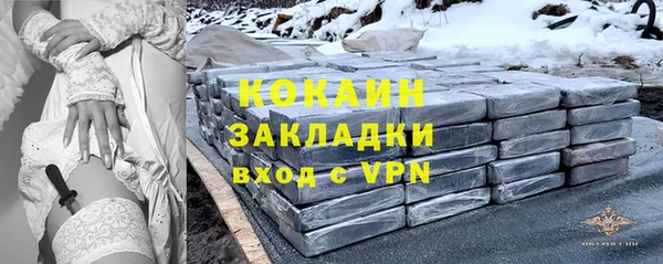 стаф Алексин
