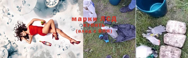прущий лед Абаза