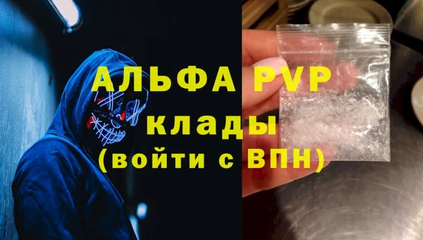 стаф Алексин