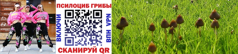 продажа наркотиков  Ахтырский  Галлюциногенные грибы мицелий 